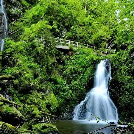 Tanneneck - Ideal Fuer Gruppen, Familien Und Hunde 3* לופינגן