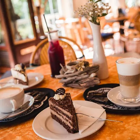 Tanneneck - Ideal Fuer Gruppen, Familien Und Hunde Hotel 3*