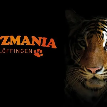 Tanneneck - Ideal Fuer Gruppen, Familien Und Hunde