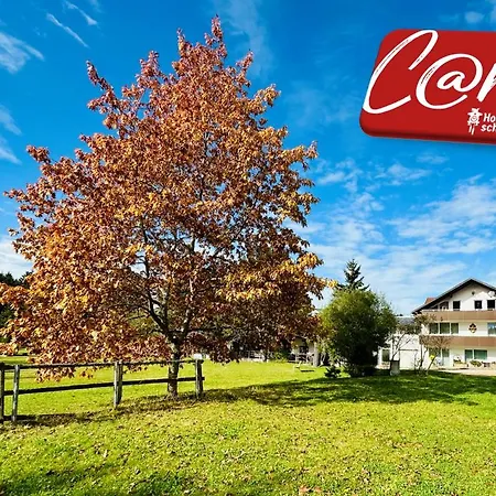 Hotel Tanneneck - Ideal Fuer Gruppen, Familien Und Hunde 3*