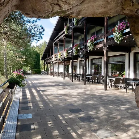 Hotel Tanneneck - Ideal Fuer Gruppen, Familien Und Hunde 3*